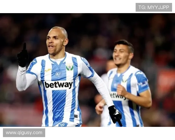 阿斯帕斯技术特点