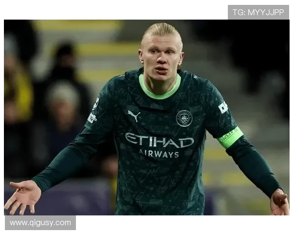 哈兰德反击核心 哈兰德反击核心