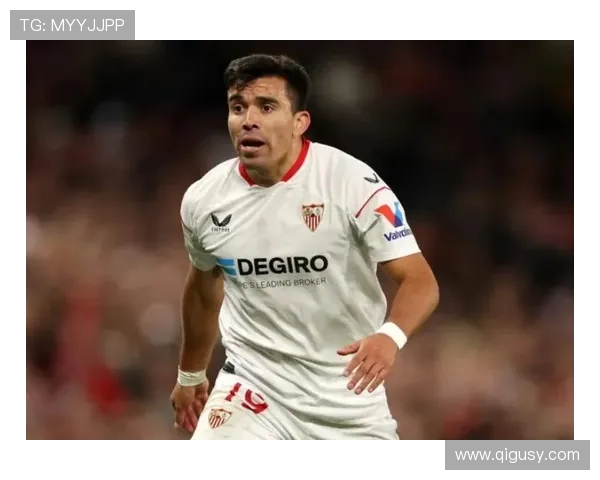 阿库尼亚传中能力